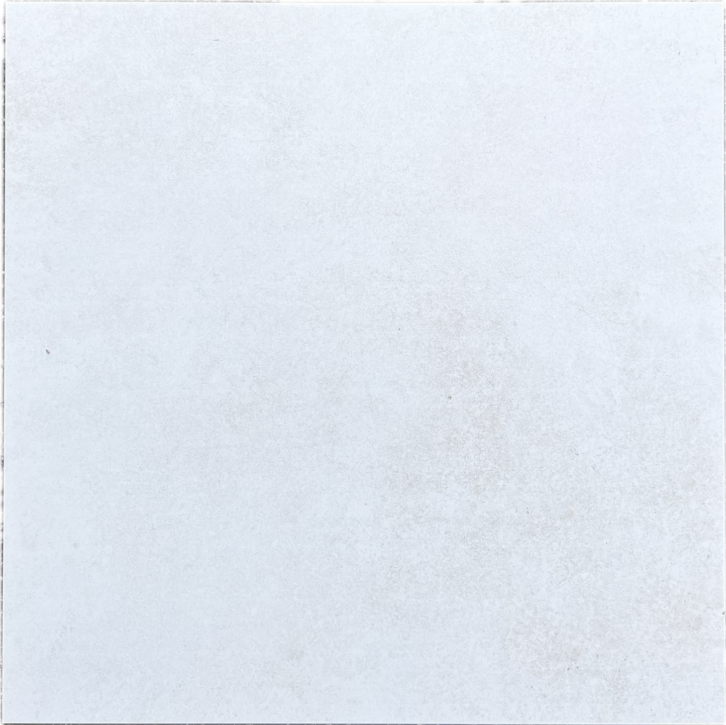 Carrelage Vileroy & Boch 60x60 blancs