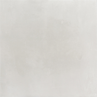 Carrelage Villeroy & Boch 60x60 gris clair