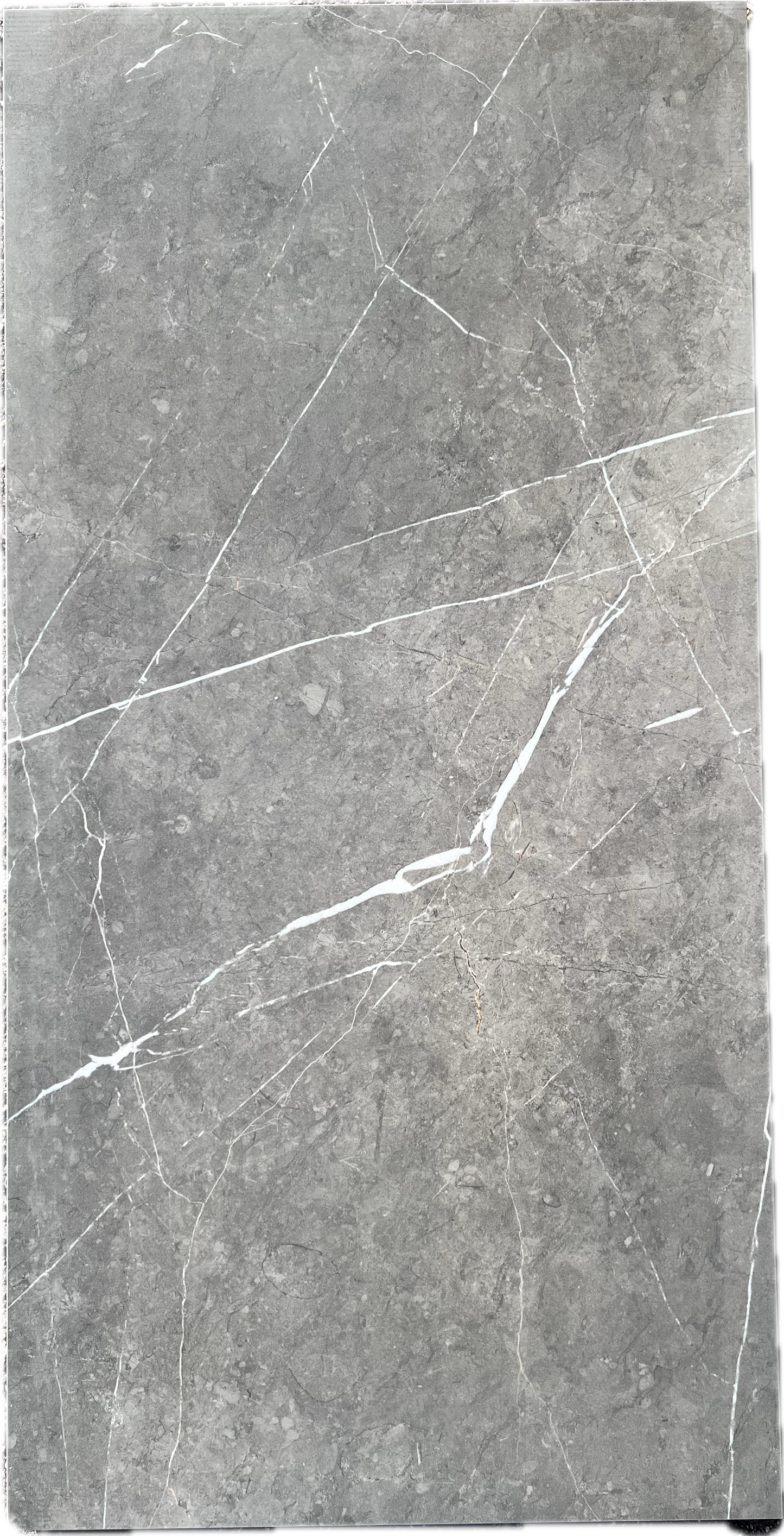 Carrelage Villeroy & Boch 60x120