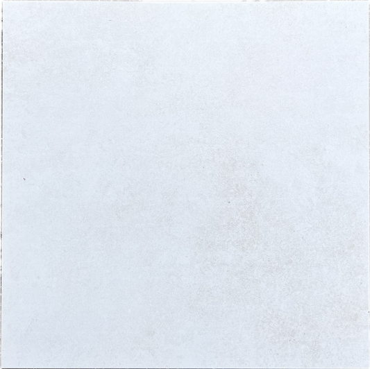 Carrelage Vileroy & Boch 60x60 blancs